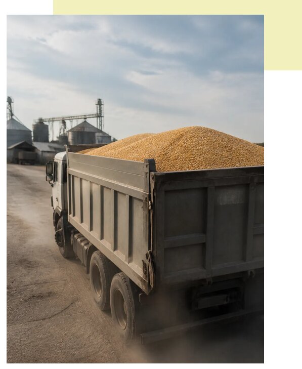 Перевозка сельхозпродукции навалом в Северск по цене от 3119 р. | Агросервис-Свк