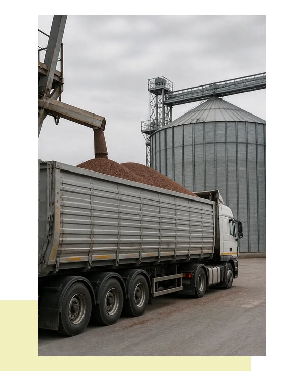 Перевозка сорго в Северск автомобильным транспортом надежно